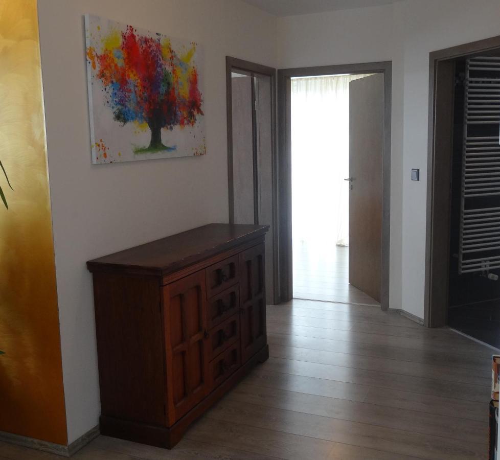Ferienwohnung Schwarzwald-Baar Blick Donaueschingen Exterior foto